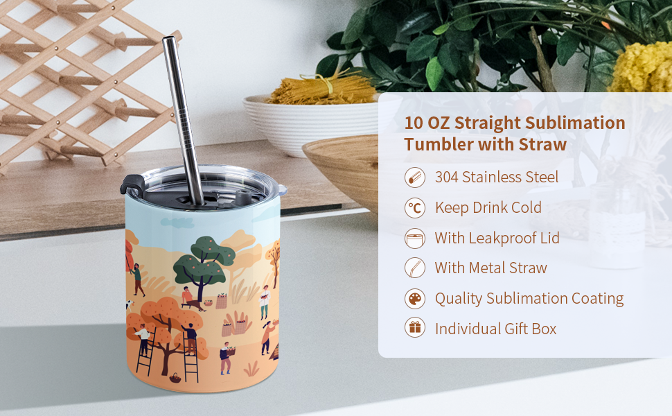 10 OZ Sublimation Blank Tumbler detail 1