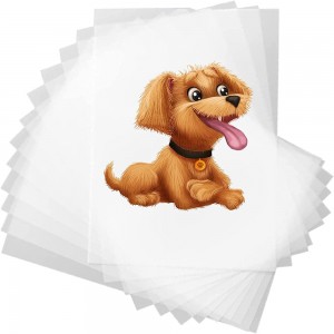 A4 DTF Transfer Film Glossy Clear Pretraret Pet Heat Transfer Vinyl
