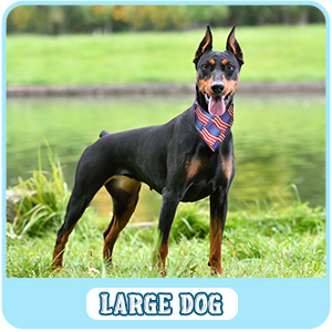 Sublimation Pet Bandana 