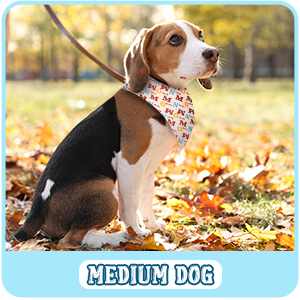 Sublimation Pet Bandana 