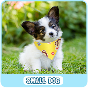 Sublimation Pet Bandana 